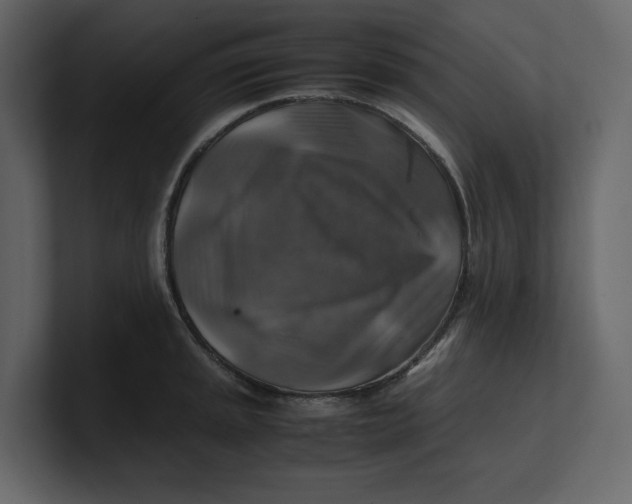 X0000100951045200807151333