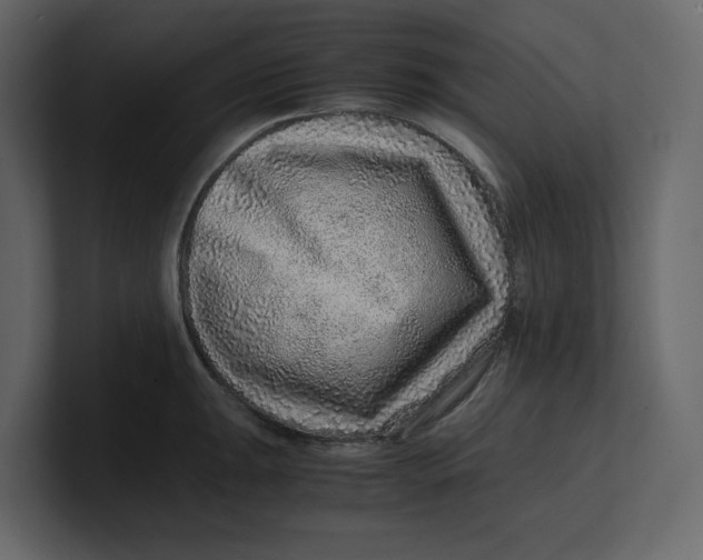 X0000100951047200807151333