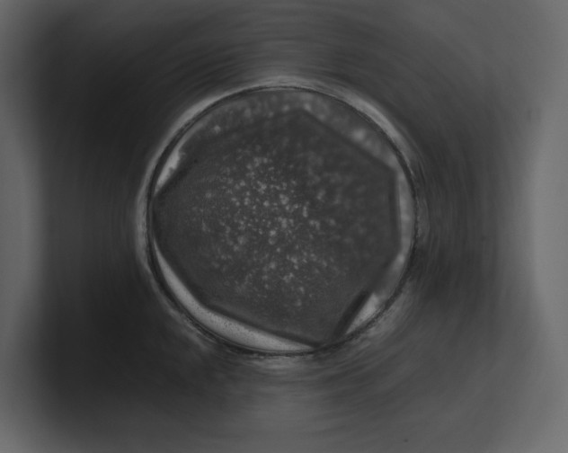 X0000100951048200807151333