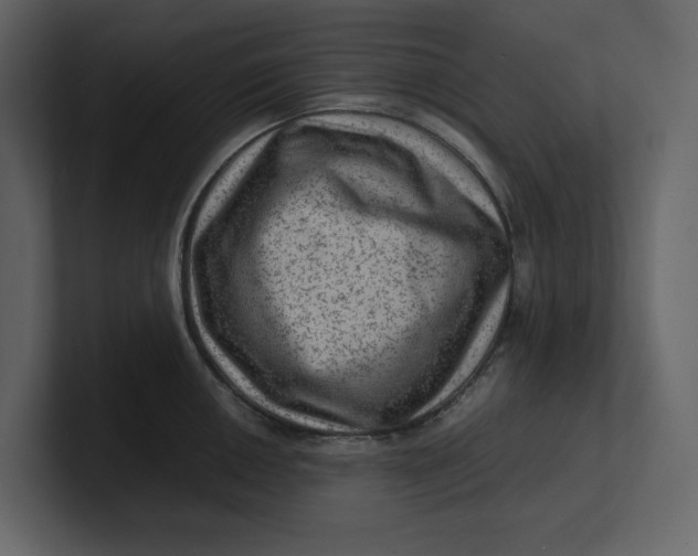 X0000100951050200807151333