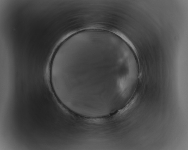 X0000100951053200807151333