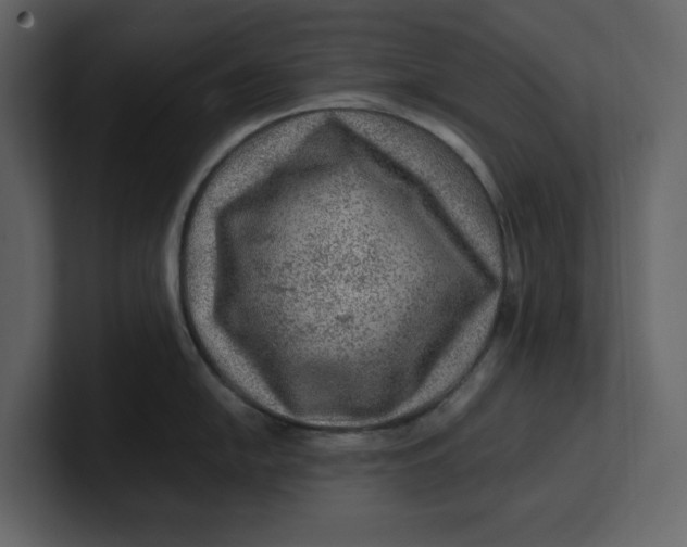 X0000100951054200807151333