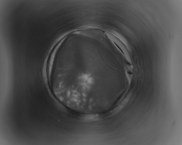 X0000100951055200807151333