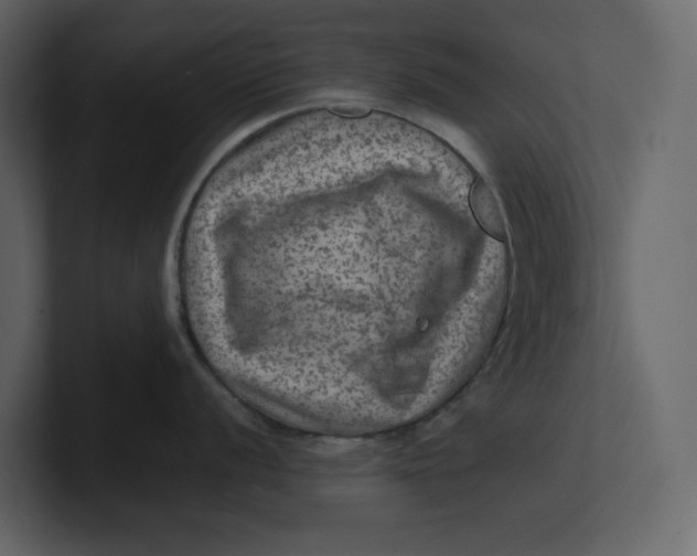 X0000100951056200807151333