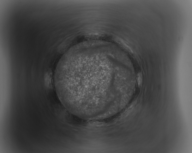 X0000100951059200807151332