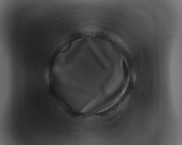 X0000100951060200807151332