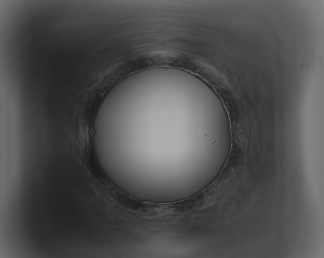 X0000100951061200807151332