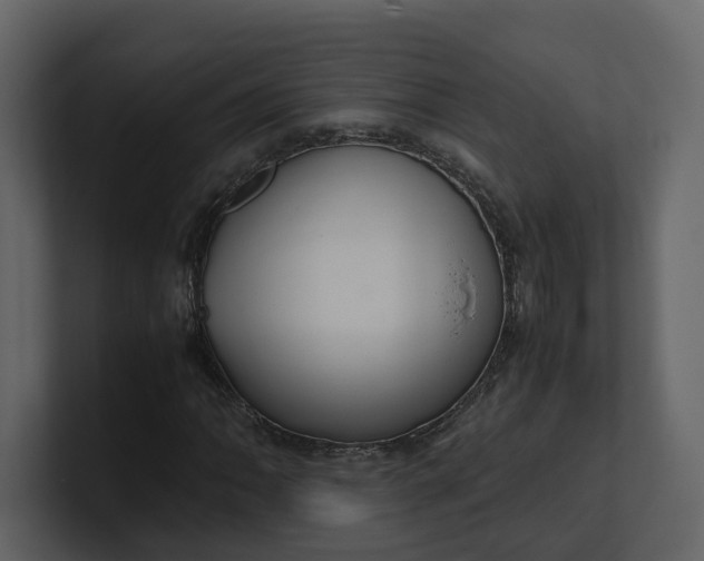 X0000100951062200807151332