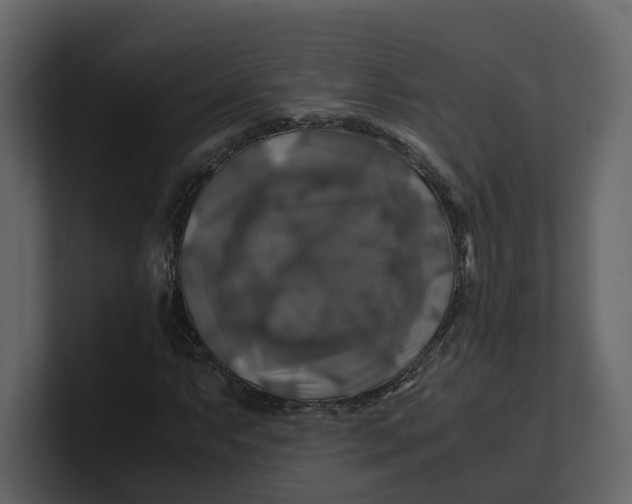 X0000100951063200807151332