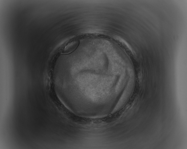 X0000100951064200807151332