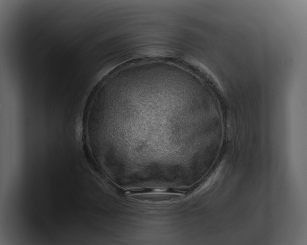 X0000100951065200807151332