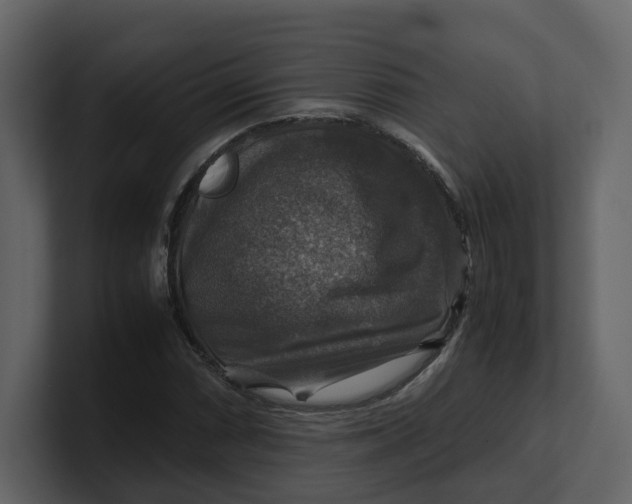 X0000100951066200807151332