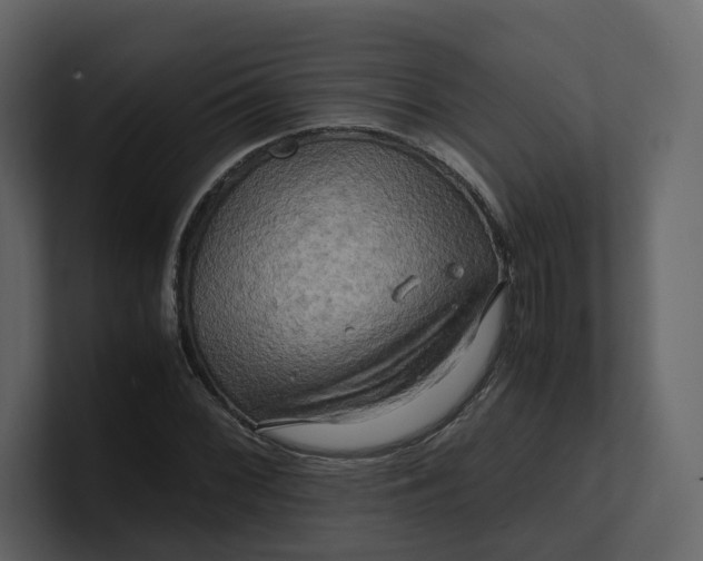 X0000100951068200807151332