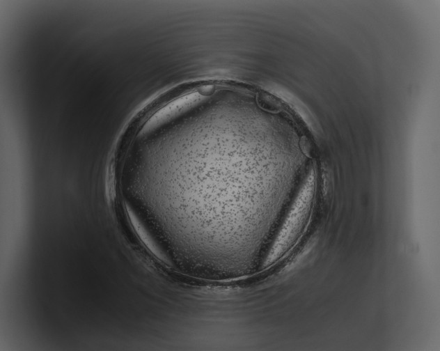 X0000100951069200807151332