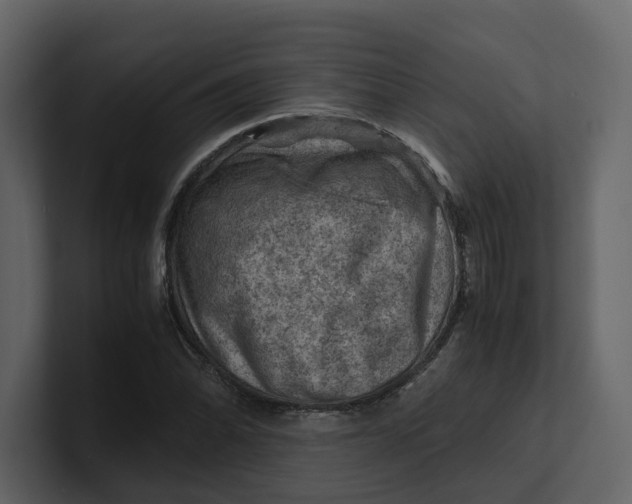 X0000100951070200807151332