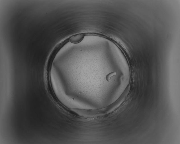 X0000100951072200807151332