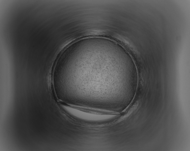 X0000100951073200807151332