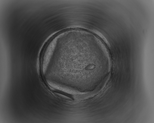 X0000100951076200807151332