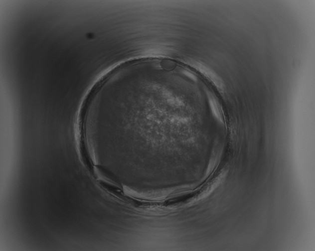 X0000100951077200807151332