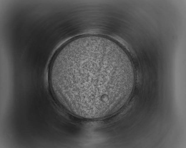 X0000100951078200807151332