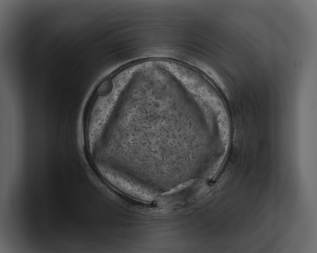 X0000100951080200807151332