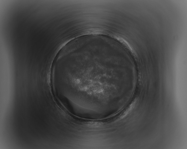 X0000100951081200807151332