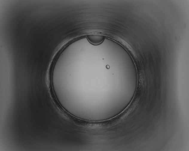 X0000100951082200807151332