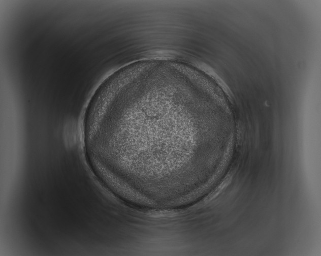 X0000100951083200807151332