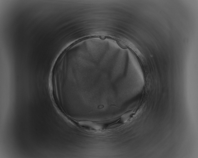 X0000100951084200807151332