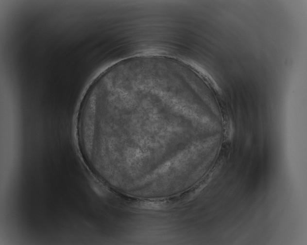 X0000100951086200807151332