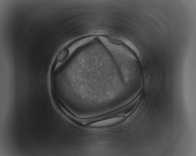 X0000100951088200807151332