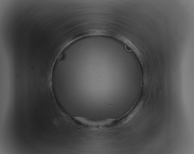 X0000100951089200807151332