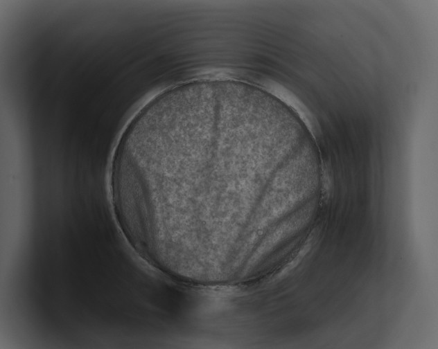 X0000100951090200807151332