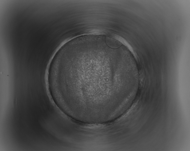 X0000100951091200807151332