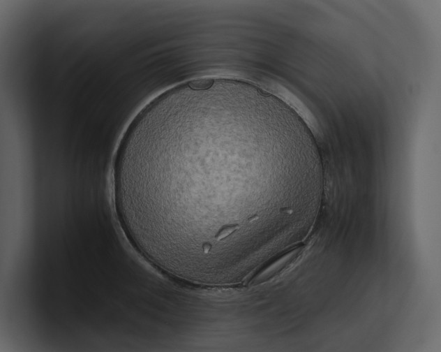 X0000100951092200807151332