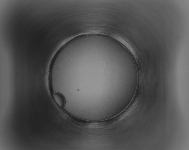 X0000100951093200807151332