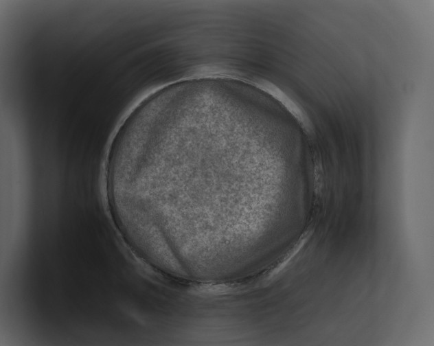 X0000100951094200807151332