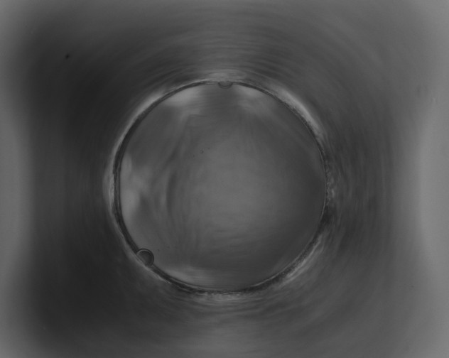 X0000100951095200807151331