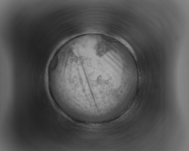 X0000100951096200807151331