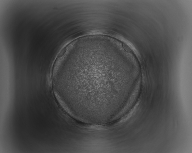 X0000100951097200807151331