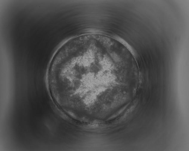 X0000100951098200807151331