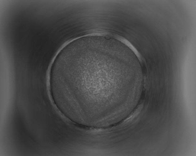 X0000100951099200807151331