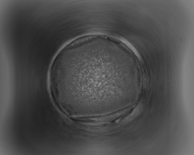 X0000100951101200807151331