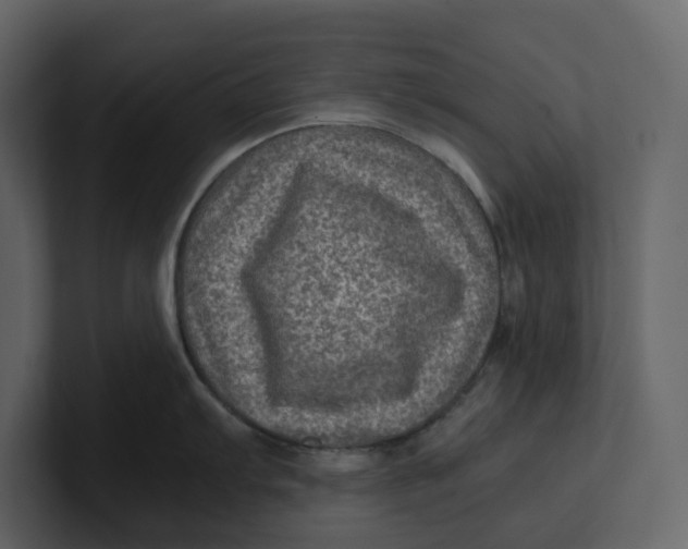 X0000100951103200807151331