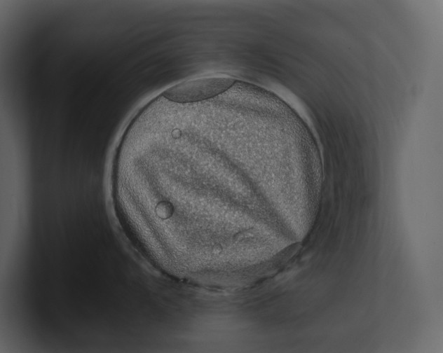 X0000100951104200807151331