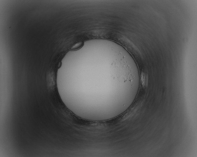 X0000100951107200807151331