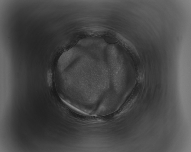 X0000100951108200807151331