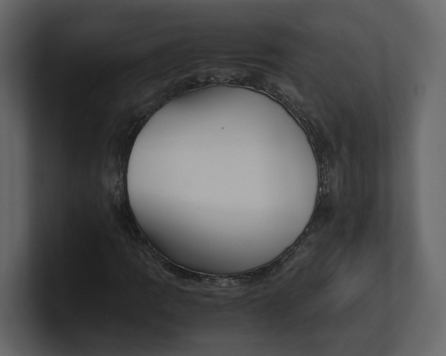 X0000100951109200807151331