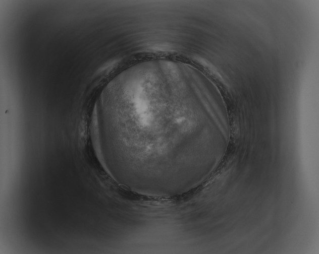 X0000100951110200807151331