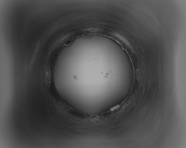 X0000100951111200807151331